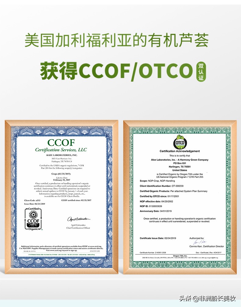 万能芦荟胶神奇功效,万能芦荟胶祛痘的方法