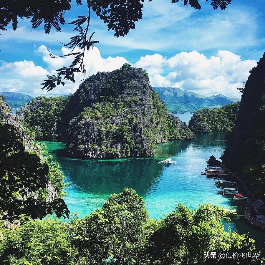 全日空320飞武汉,全日空767武汉飞日本