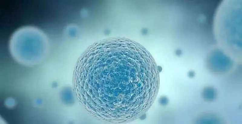 张天爱视频用的保养护肤面霜,张天爱作息曝光视频