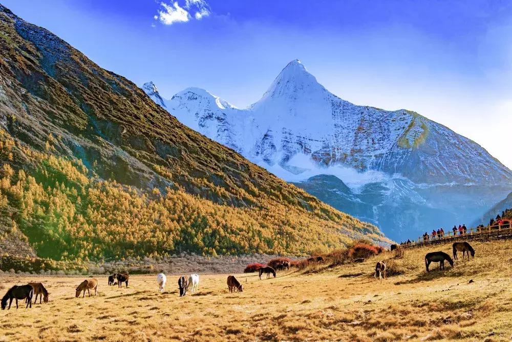 10月旅行地推荐最适合初秋出游,10月最适合慢慢旅游的地方