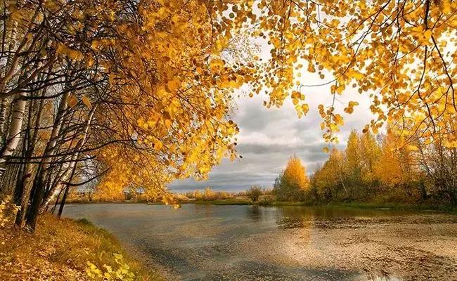 楹联对句入门,楹联格律常识有哪些