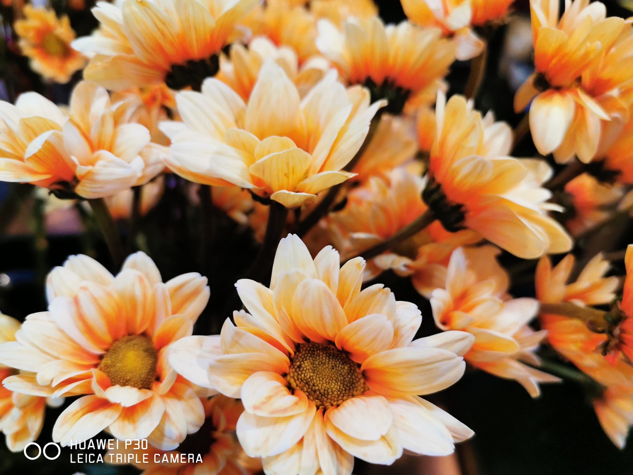 华为p30现在值得购买吗,华为p30还值得上手吗