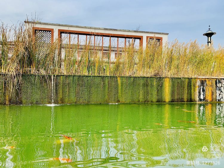 洛阳市宜阳凤凰岭射箭,宜阳县凤凰岭体育基地