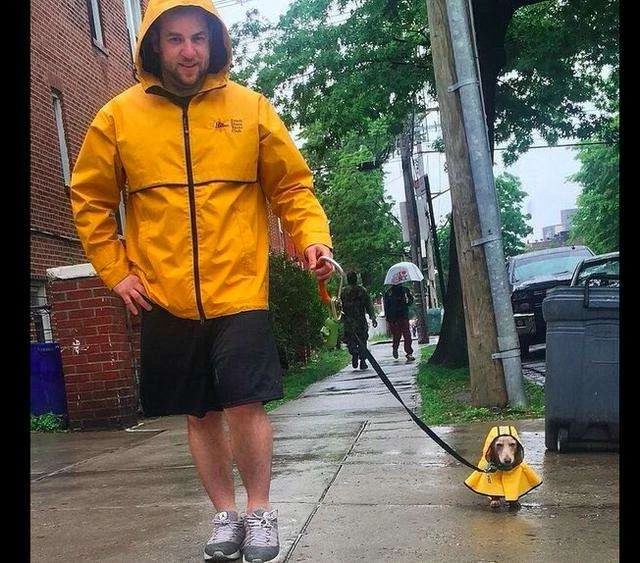 一定要和养狗的人做朋友吗,就喜欢和志同道合的人做朋友