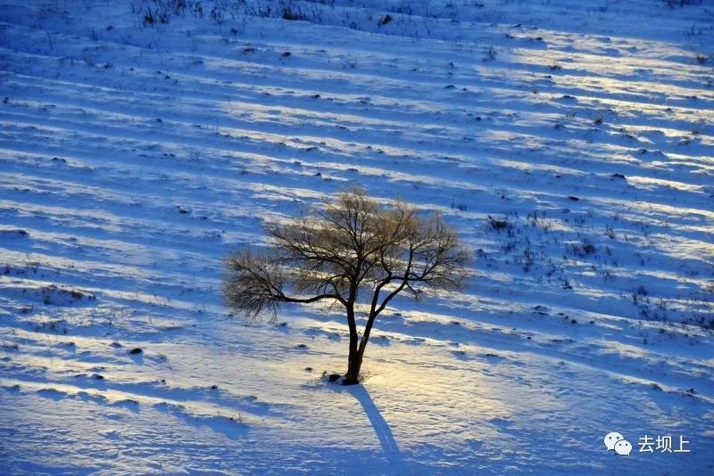 坝上摄影攻略,坝上夏季摄影