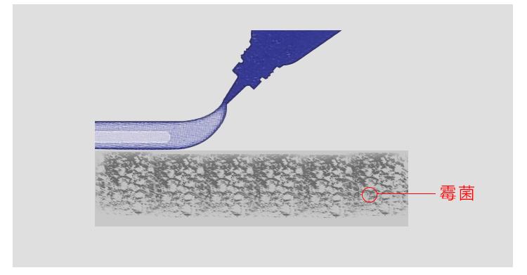 各种超市摆放物品,超市常用物品摆放