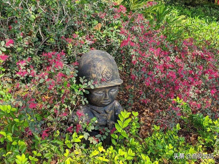 lgg8最大缺点,lgg8深度解析