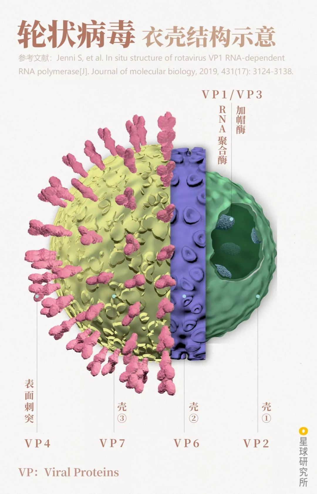 医生和病毒作战,我们如何对付病毒