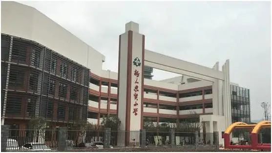 树人小学到底有多少分校,重庆市树人小学有几个分校