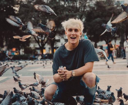 全球网红收入排行榜,世界网红收入第一人