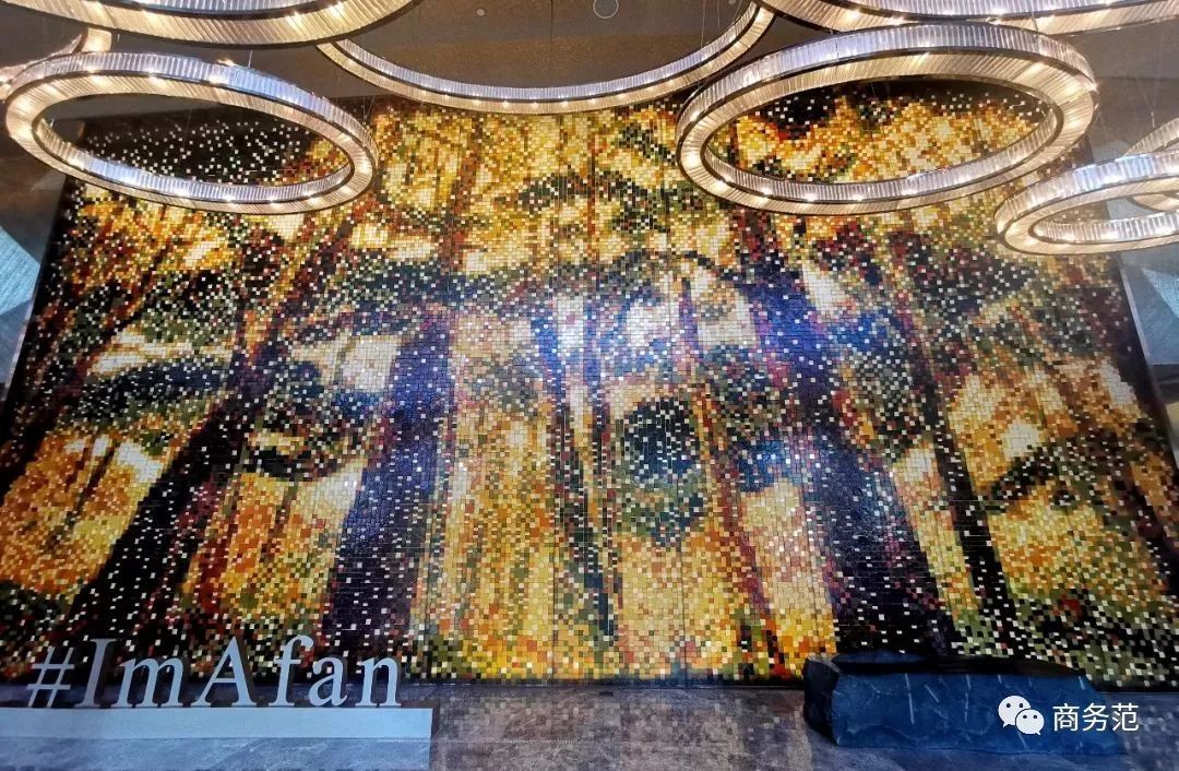 为什么戴妃这么美,戴妃为什么喜欢老佛爷