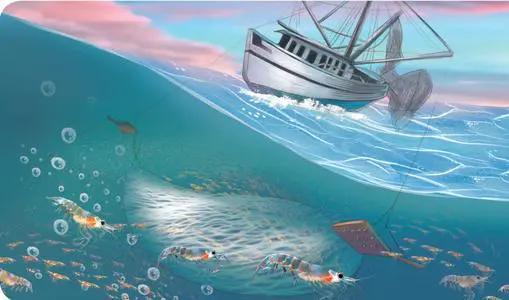 南极磷虾储量50亿,海上金矿南极磷虾