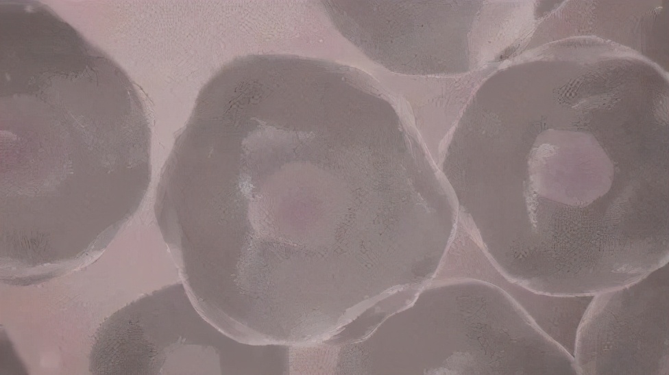 绵羊油适合的肤质,倾慕小铺澳洲绵羊油水润滋养