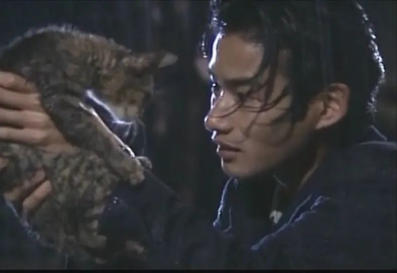 娱乐圈50岁仍单身的男明星,50岁还单身的男生