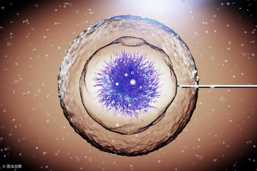 移植胚胎失败有必要中医调理吗,我移植鲜胚9天了还测不出来