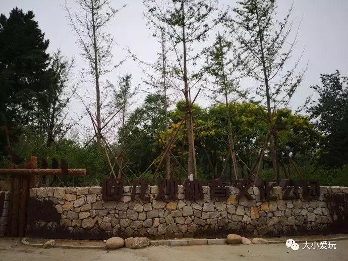 一位妈妈花四年跑断腿，换来了这份“回龙观靠谱教育机构清单”