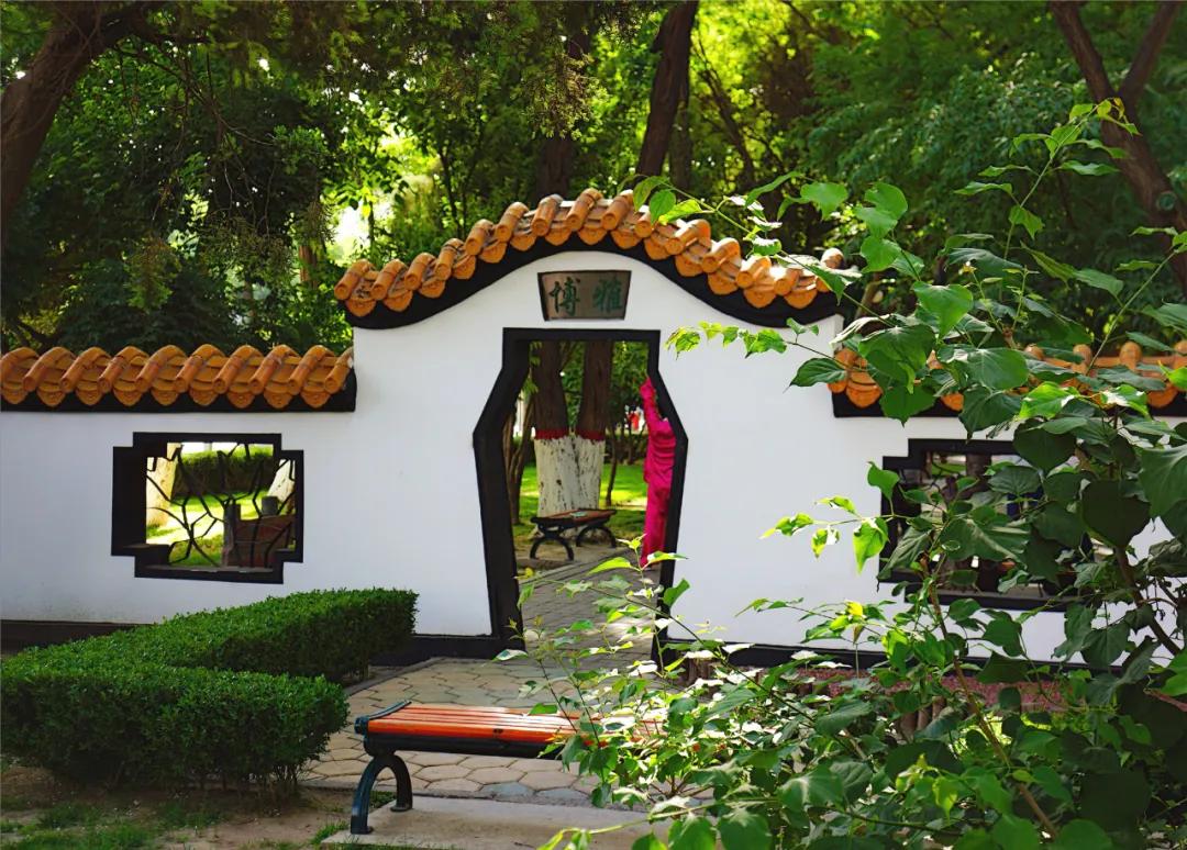 宁夏银川街心公园,银川兴庆区宁园门票多少