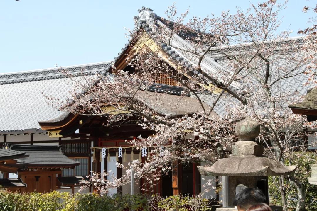 盘点让人捧腹大笑的神回复,盘点出人意料的神回复