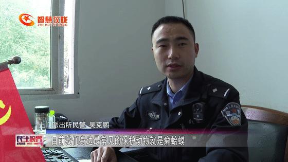 癞疙宝算不算动物,癞疙宝是国家保护动物吗