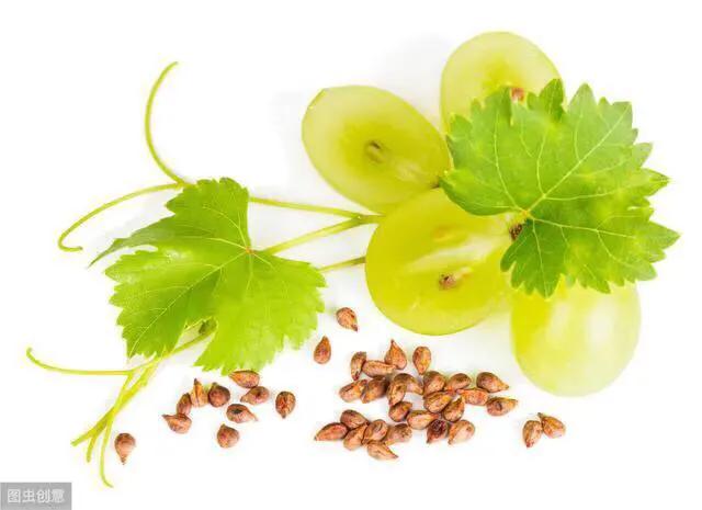 哪种葡萄籽抗衰老功效好,进口葡萄籽能抗衰老吗