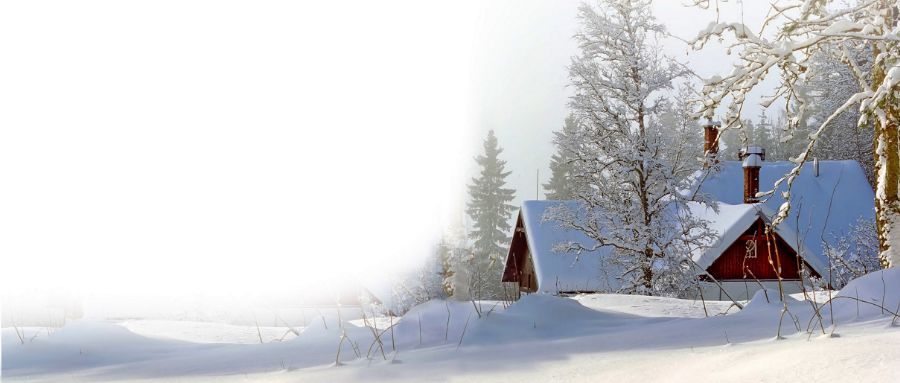 描写雪的诗句大全千树万树梨花开,描写冬天雪景诗句大漠沙如雪