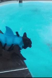 搞笑版的小萝莉,搞笑小萝莉图片