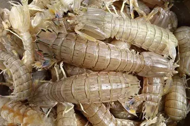 春天的威海处处是风景,威海的小海鲜