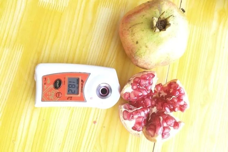 吃石榴不吐皮,吃石榴不吐籽的石榴