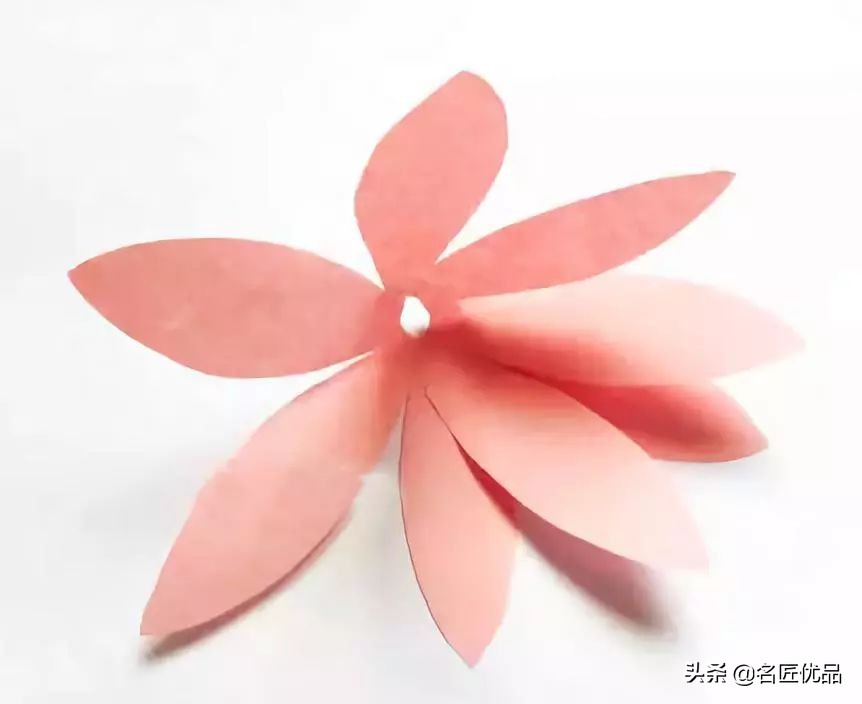 手工制作荷花睡莲,夏天的荷花手工小朋友