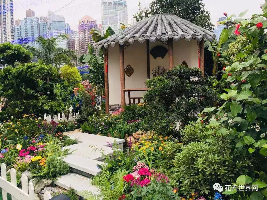 香港花卉艺术展,共赴盛会活动