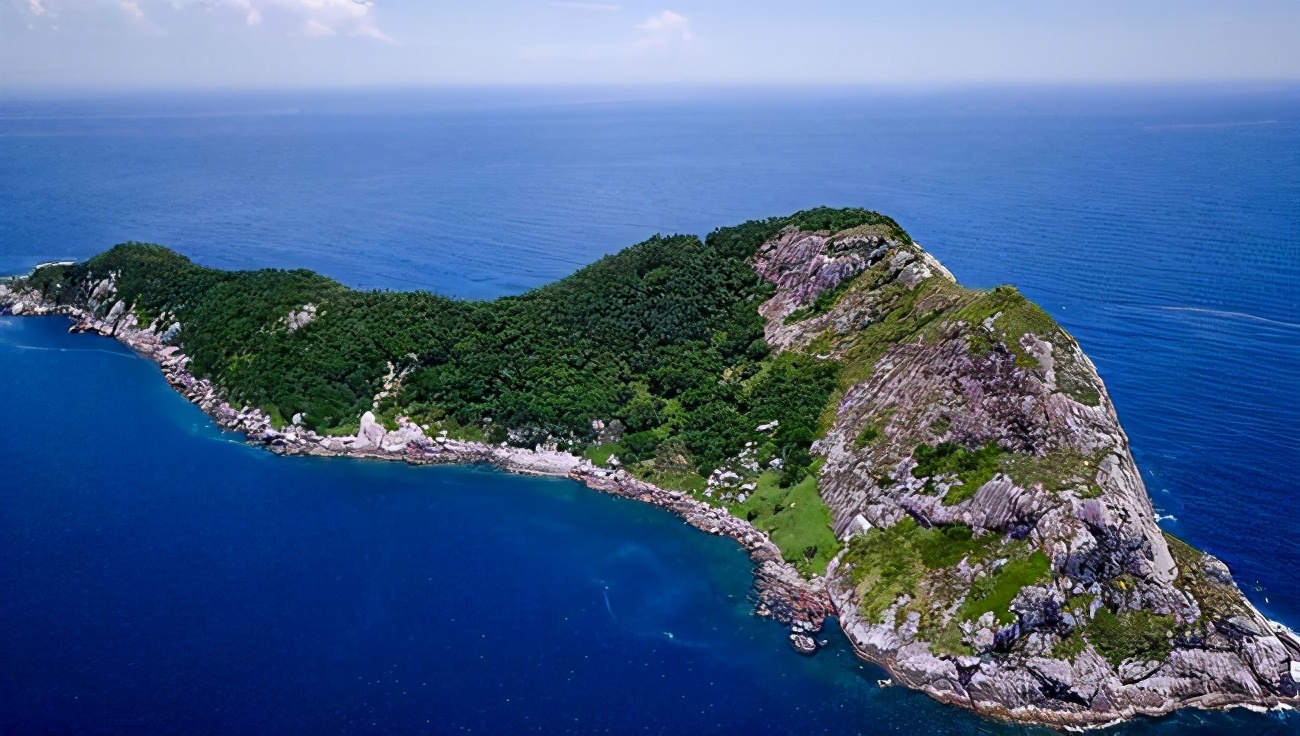 巴西毒蛇岛的蛇有天敌吗,巴西蛇岛每平米1条蛇