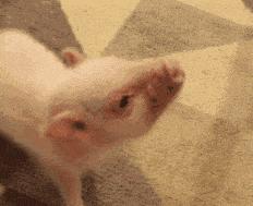 怎样用医保卡里的余额给孩子缴费,医保卡里的余额能给别人住院用吗