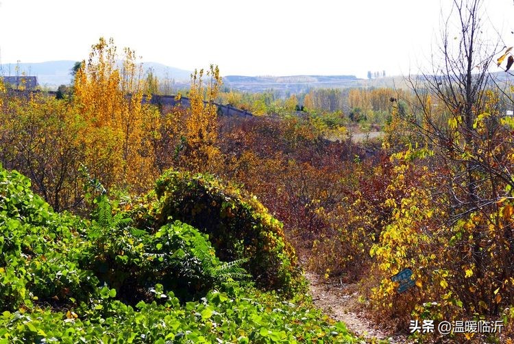 竹泉村景区,最美竹泉村