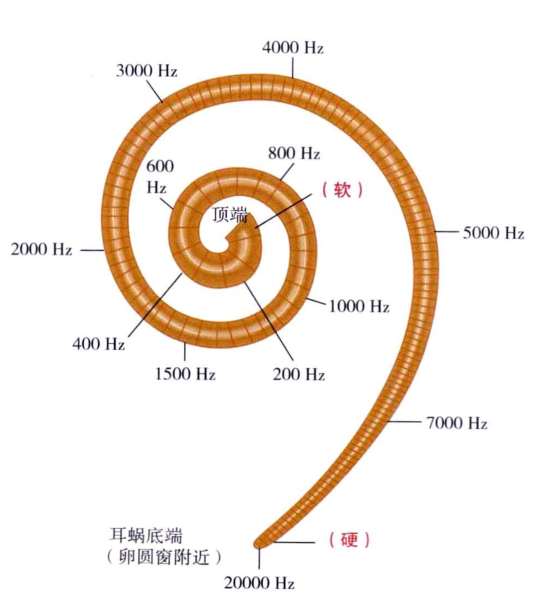 心理学的生物学基础知识,生物心理学知识书籍