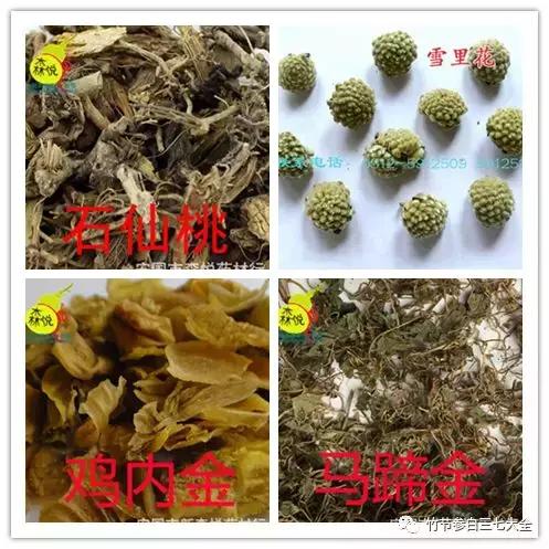 冷背药材大全及价格,冷背药材有多少种