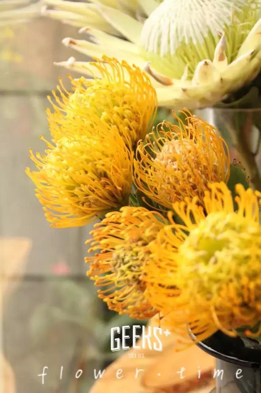 tf口红免费送,鲜花盛宴