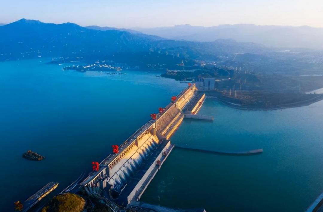 为什么城市高架桥下都要种爬山虎,我国高架桥为什么种爬山虎