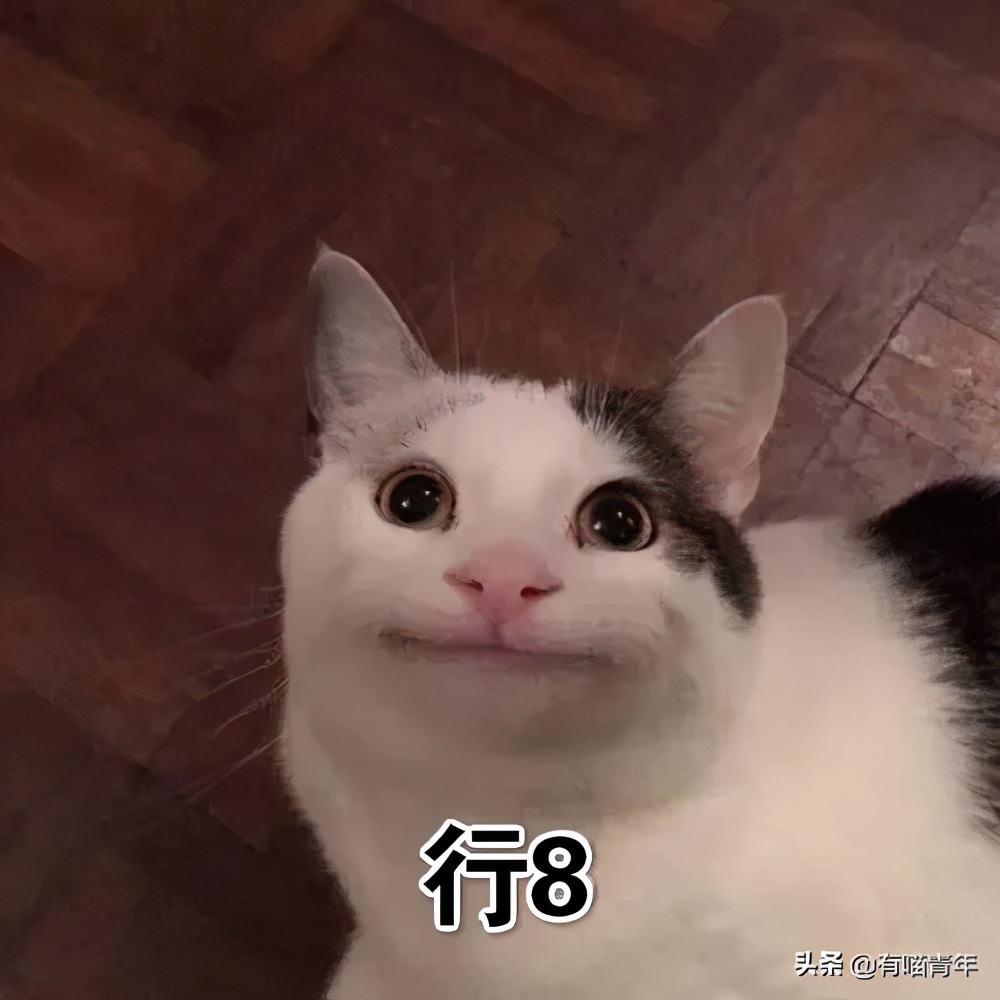 我给猫花的冤枉钱，能在广州买一套房
