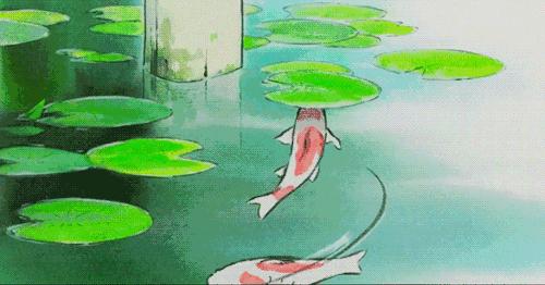 刚买的锦鲤放入鱼缸肚子朝上,锦鲤带回家第一天需要加热打氧吗