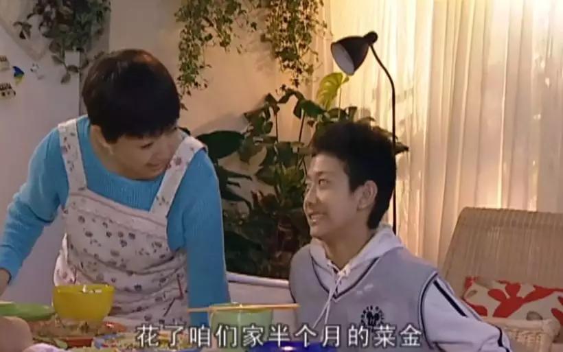 家有儿女刘星家到底是多有钱,家有儿女刘星家究竟多有钱