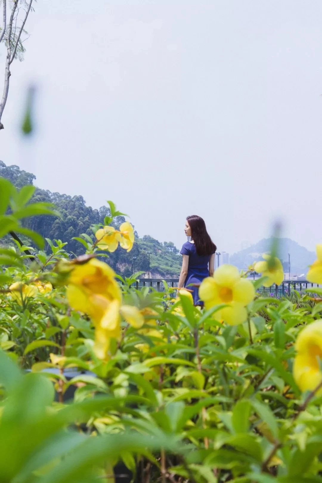 深圳十个小众打卡地,在深圳这些地方既小众又值得打卡