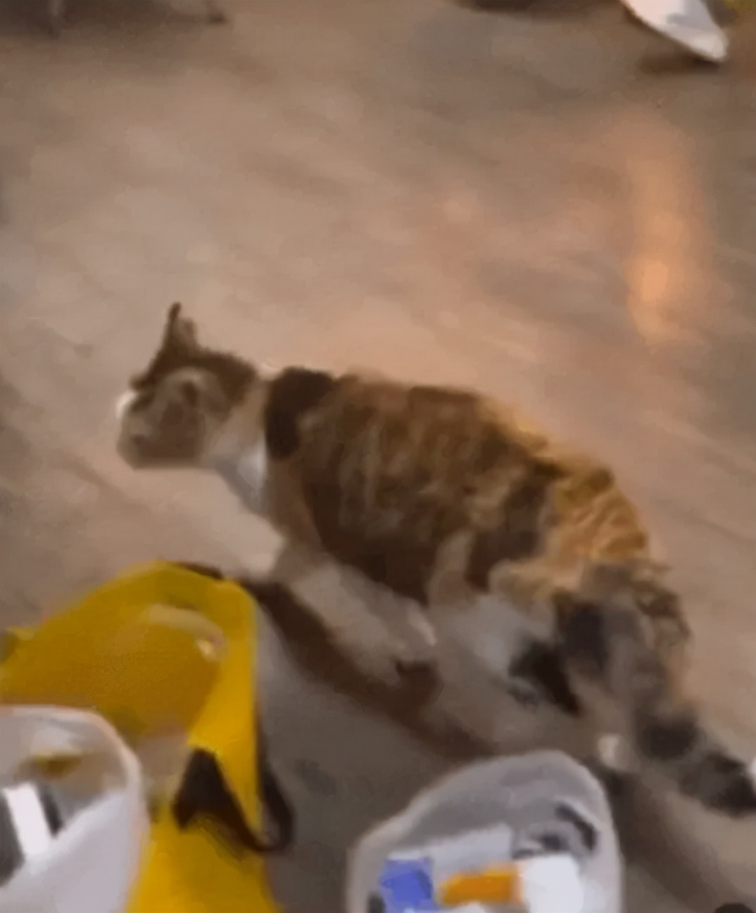 blackpink老大为什么是智秀,blackpink金智秀为什么被排挤