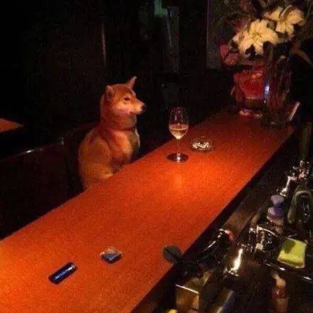 谈到孤独,说到孤独你会想到什么