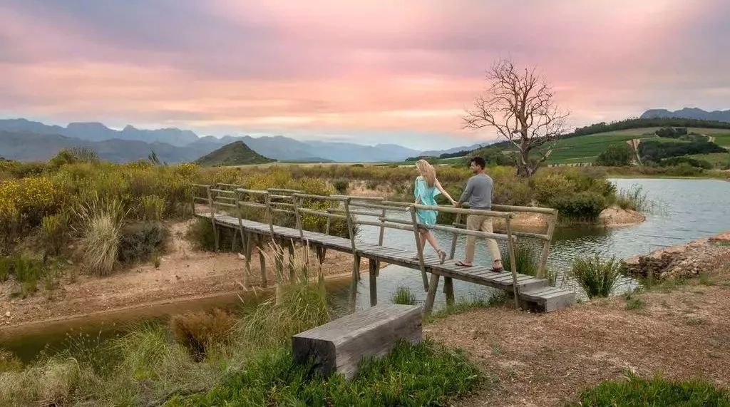 天阶庄园天诚西拉,天阶庄园官网