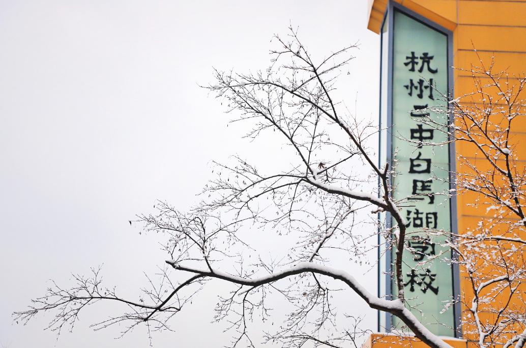 中考数据直逼文澜，滨江区这所民办很厉害