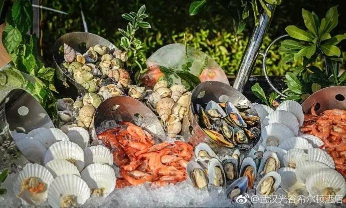 武汉十大高逼格酒店,来武汉旅游住哪个酒店好