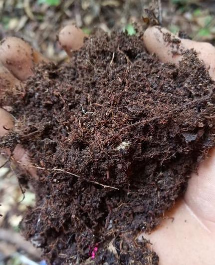 怎样配制家庭养花最好的营养土,家庭养花土拌什么疏松透气