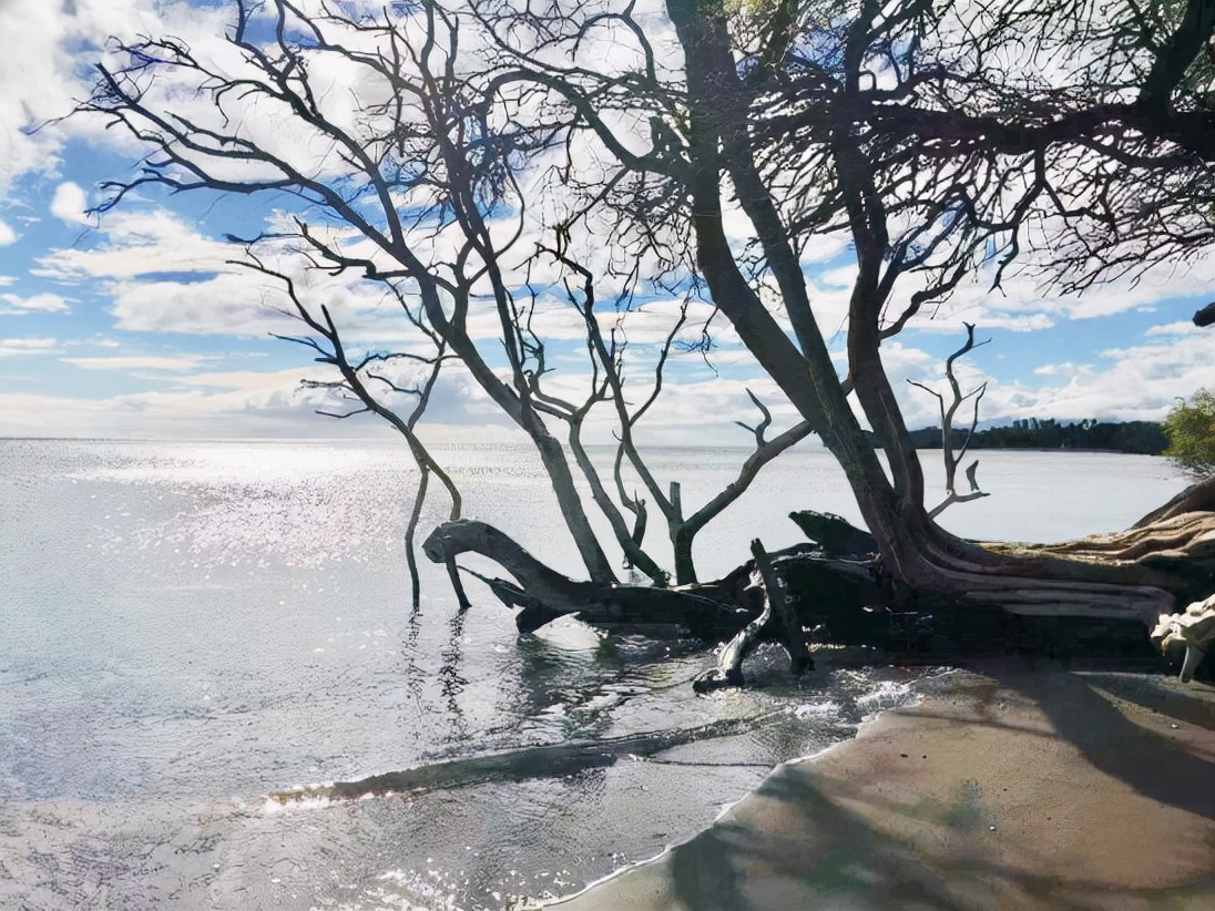 夏威夷的冬天01,夏威夷的冬天的橱窗