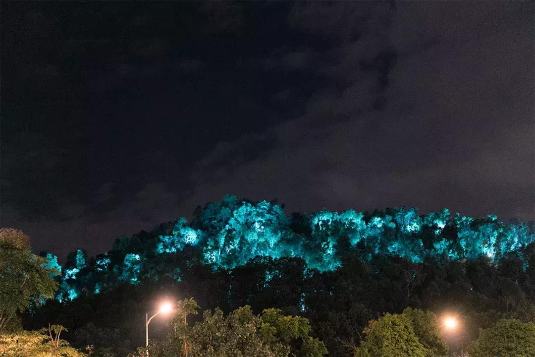 龙岗地标大厦,龙岗未来地标建筑在哪个地段