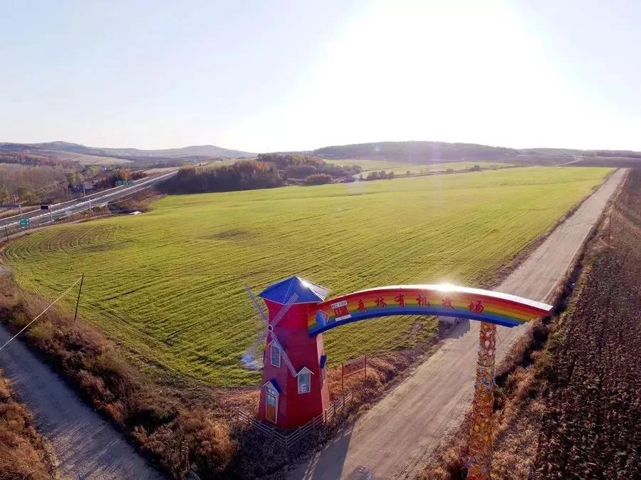红星林海雪原鲜牛奶,红星林海雪原牛奶怎么样